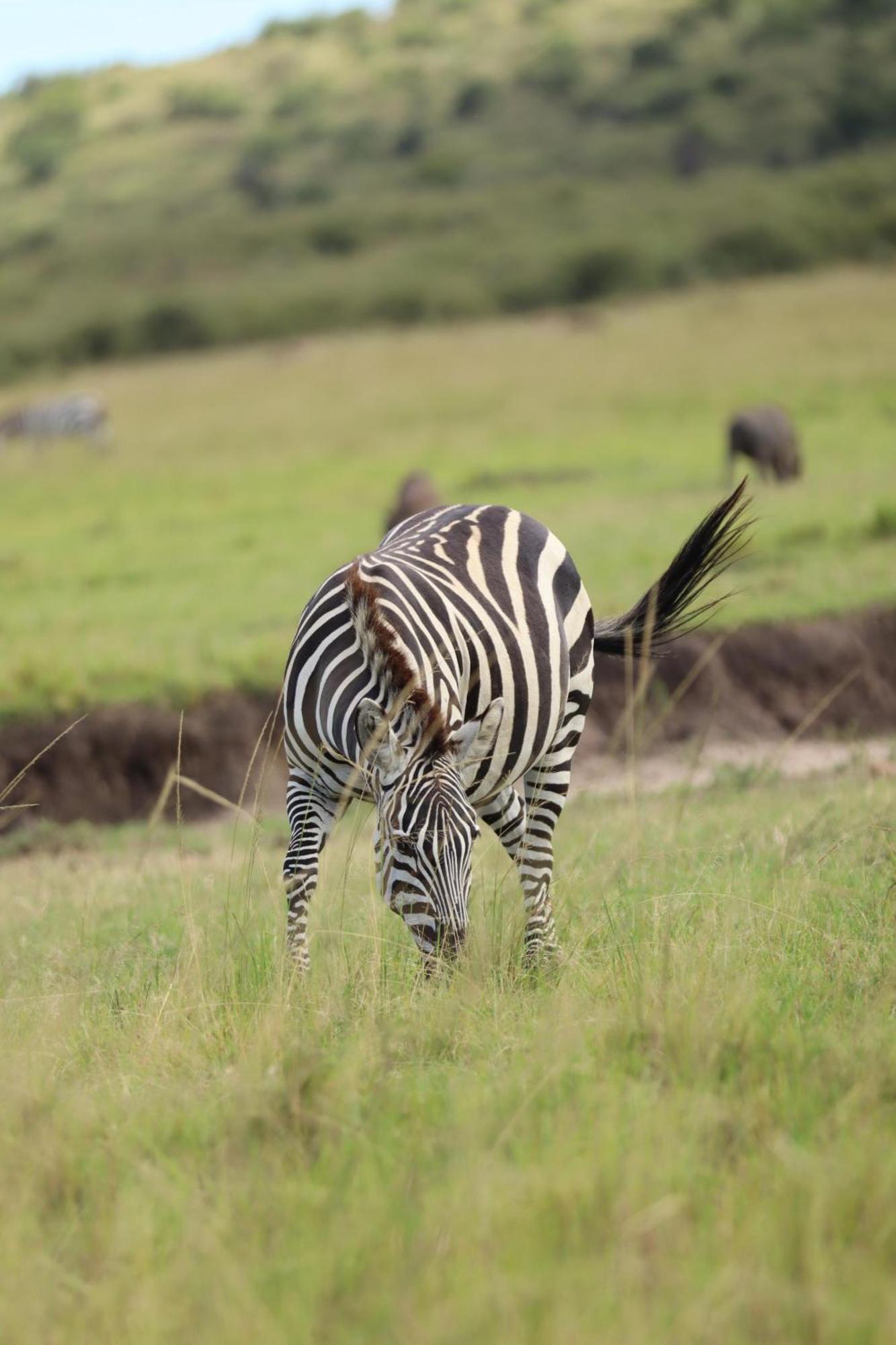 Ilkerin Camp Maasai Mara Acomodação com café da manhã Sekenani Exterior foto